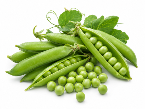 Pea
