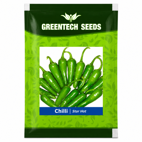 Chilli Star Hot