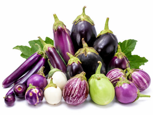 Brinjal