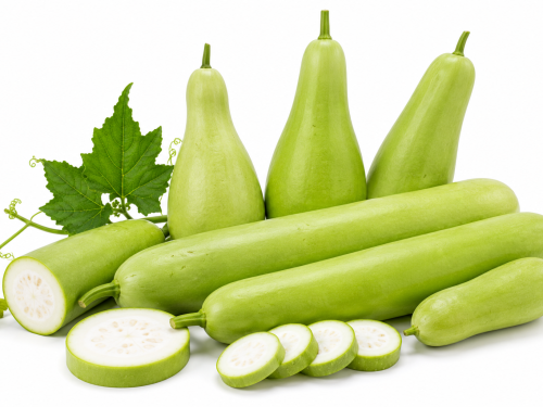 Bottle Gourd