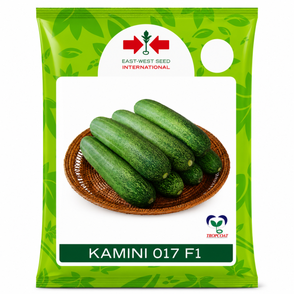 Kamini 017 F1