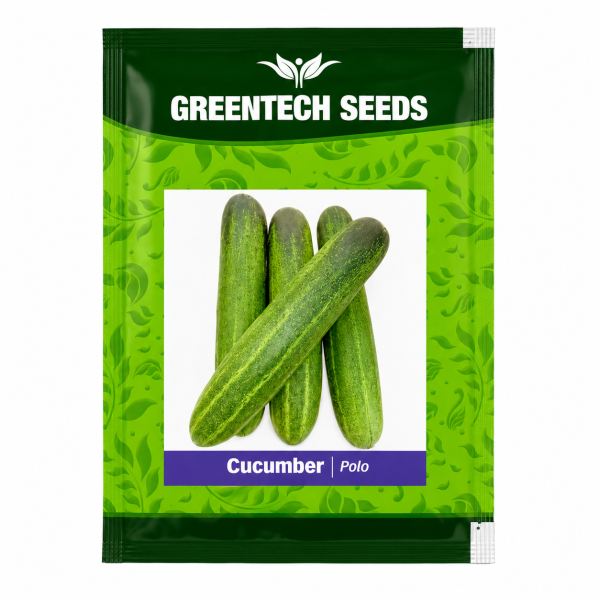 Cocumber Polo