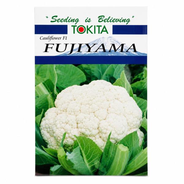 Fujiyama
