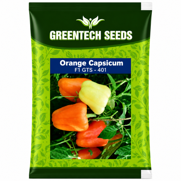 Orange Capsicum F1 GTS-401