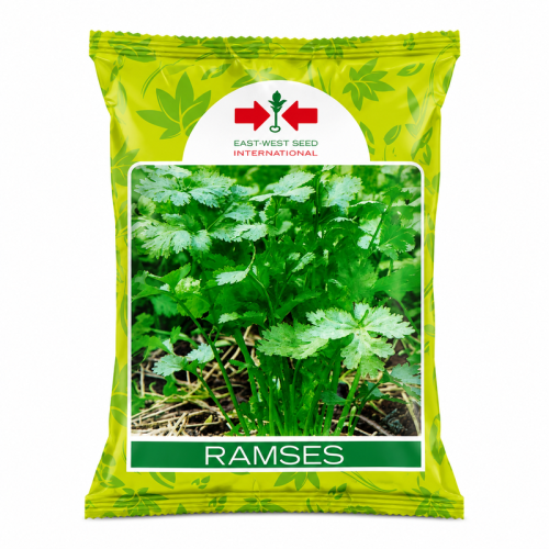 Ramses_Seed_Pack_800x800 (1) 
